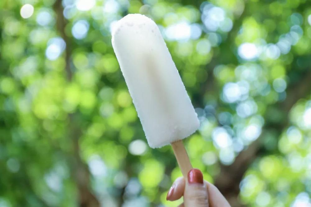 90后童年冰淇淋图鉴！每一款放学后都吃过！(16)
