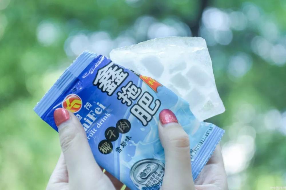 90后童年冰淇淋图鉴！每一款放学后都吃过！(28)